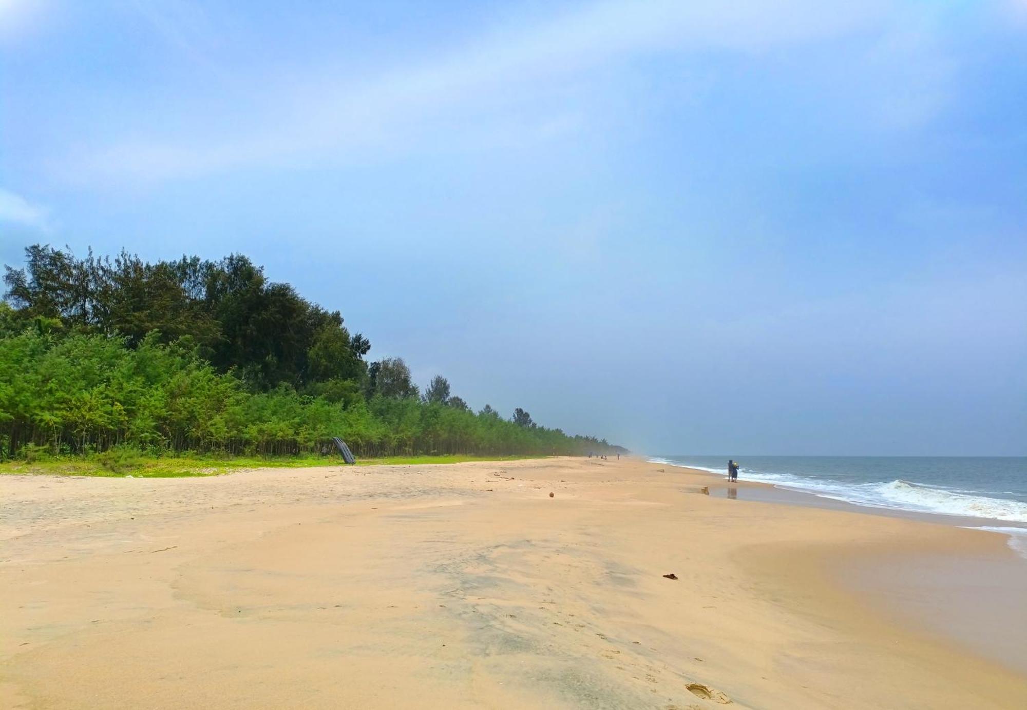 Marari Beach Cleetus Homestay マラリクラム エクステリア 写真