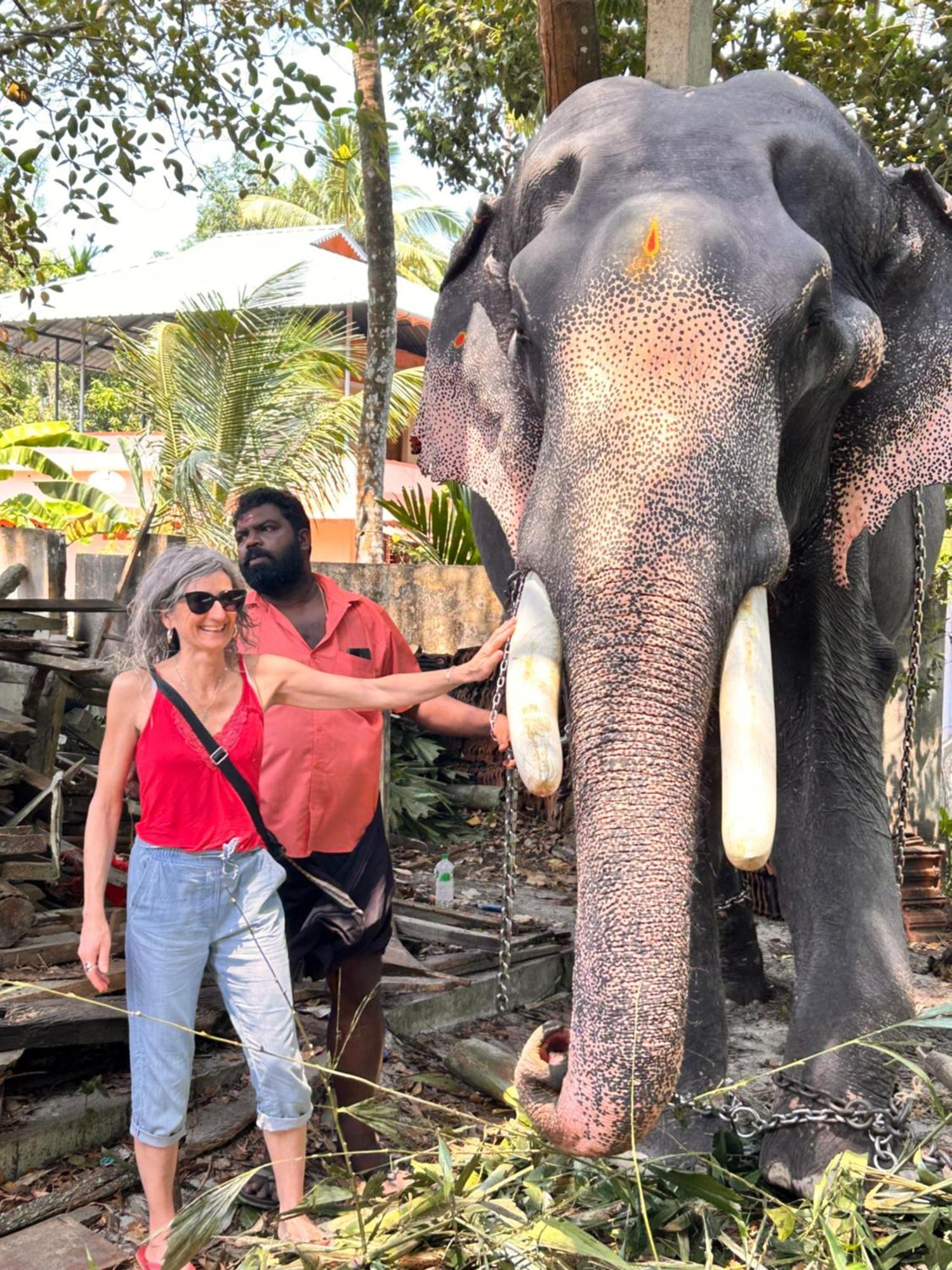 Marari Beach Cleetus Homestay マラリクラム エクステリア 写真